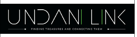 Undani Link logo